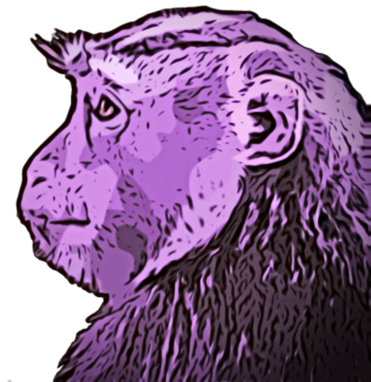 Monkey's Mojo Logo